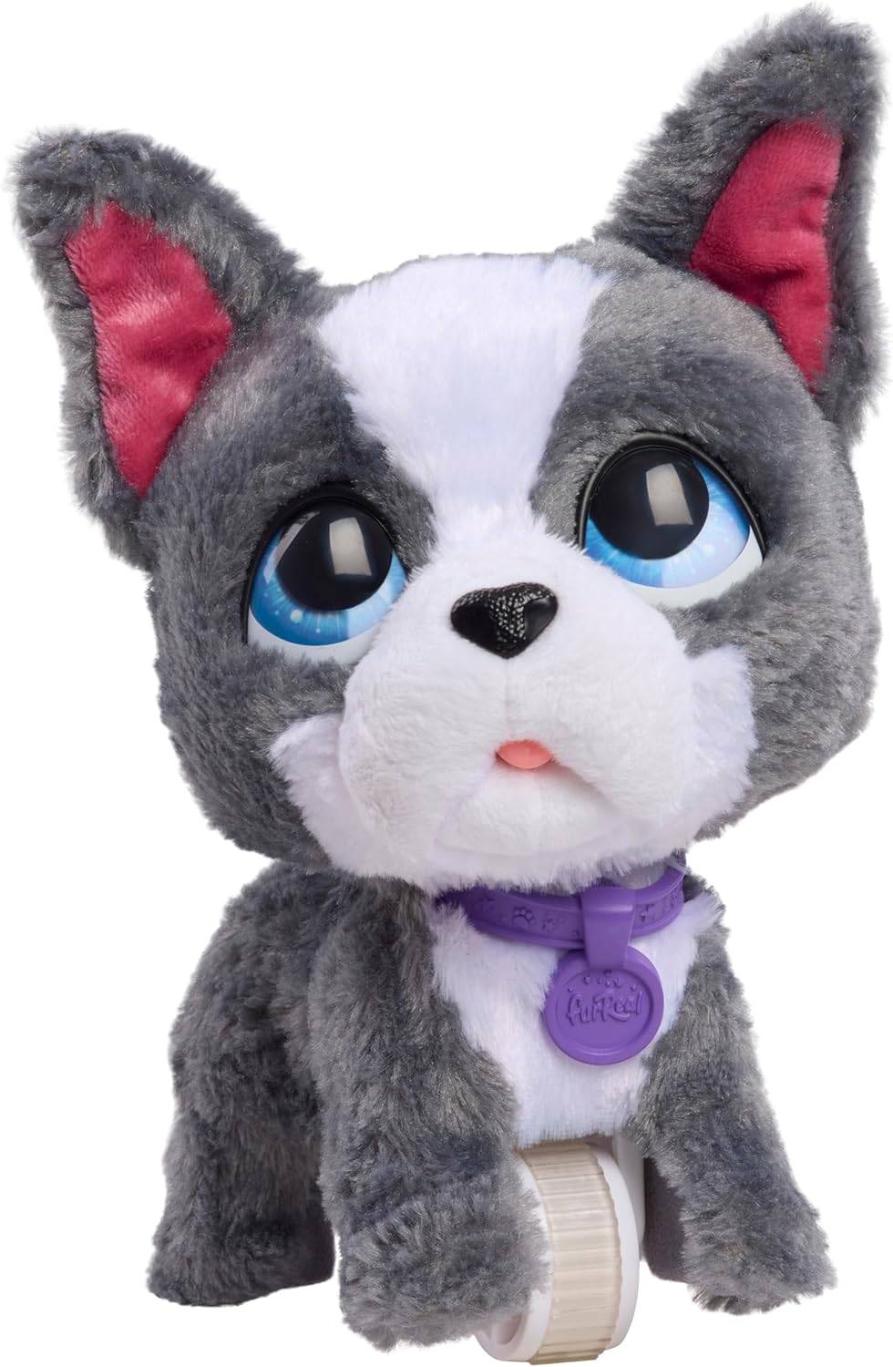 Just Play furReal Walk-A-Lots French Bulldog, interaktives Spielzeug, 20,3 cm grosser, laufender Plü
