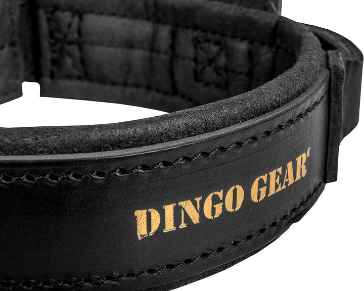 Dingo Gear Lederhalsband für Hund ''Drago'' Amortisiert Schwarz mit Griff Handgefertigt S04022, 56-6