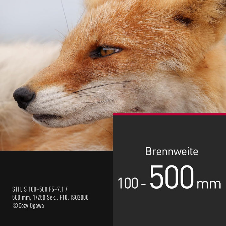 Panasonic LUMIX S-R100500E 100-500 mm F5-7.1 O.I.S. L-Mount Objektiv, Vollformat-Telezoom, 0,8 m Nah