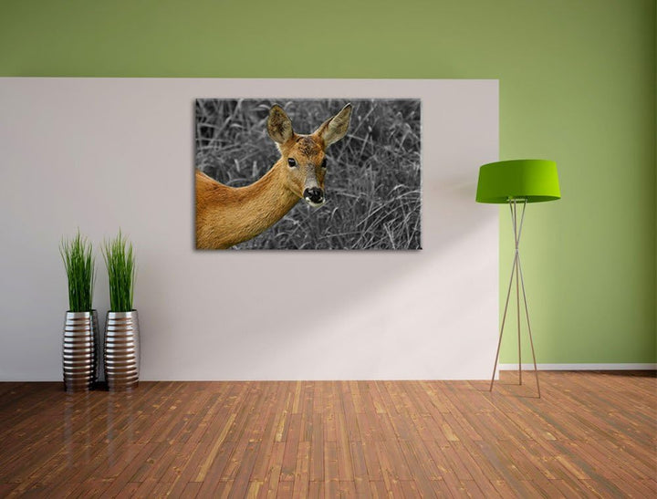 stolzes Reh beim Fressen schwarz/weiss auf Leinwand, XXL riesige Bilder fertig gerahmt mit Keilrahme