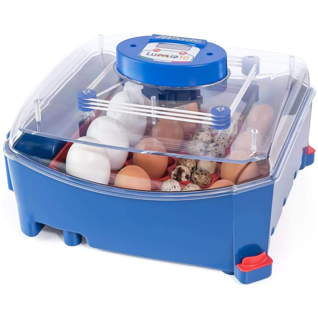 Borotto Lumia 16 | Brutautomat Vollautomatisch, Inkubator für 16 Eier oder 64 Kleine Eier mit Automa