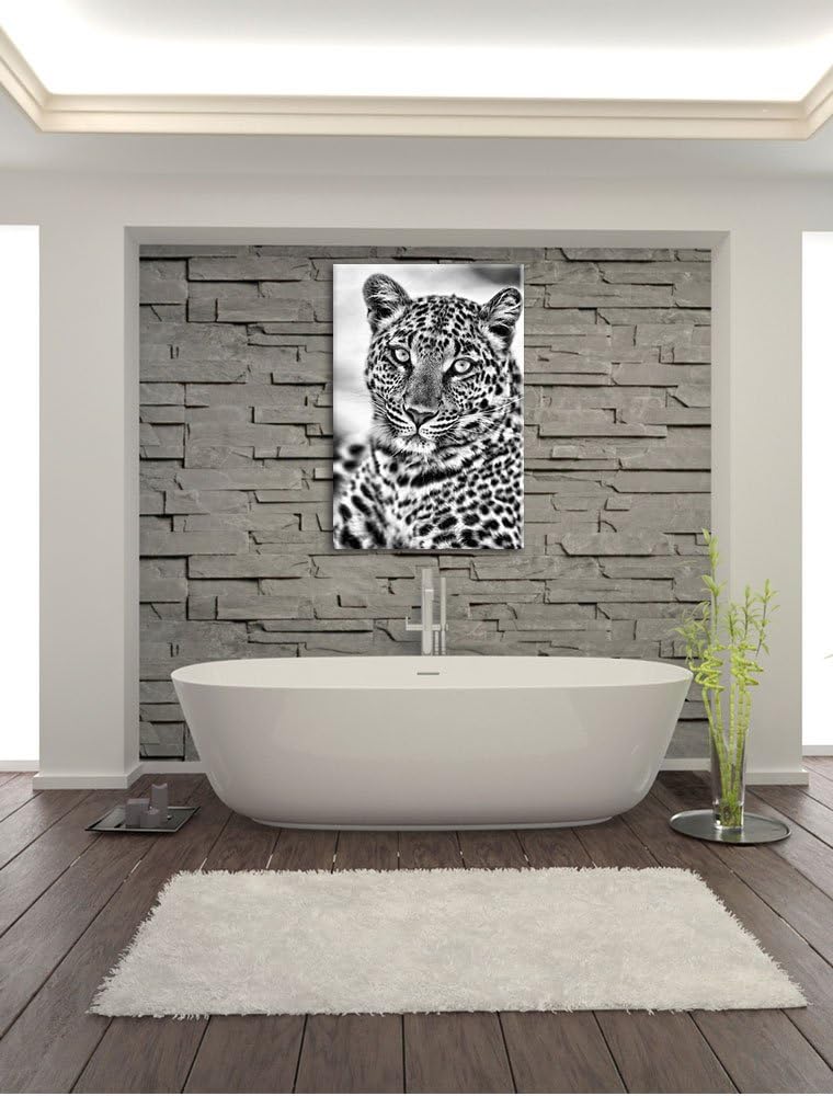 Pixxprint schöner Leopard als Leinwandbild/Grösse: 100x70 / Wandbild/Kunstdruck/fertig bespannt, 100