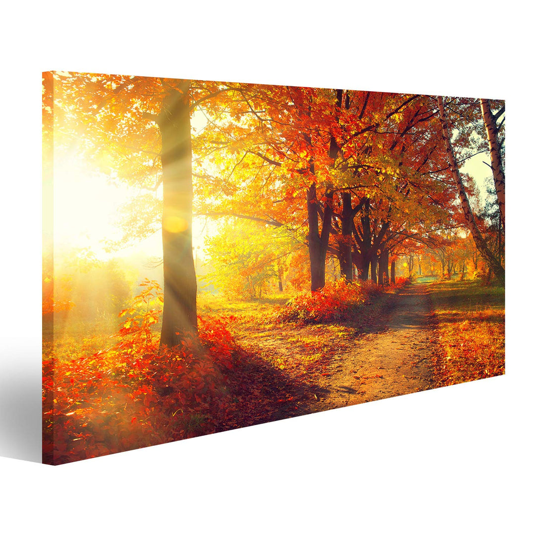 Bild Bilder auf Leinwand Herbst Herbst Park herbstliche Bäume und Blätter in Sonnenstrahlen Wandbild