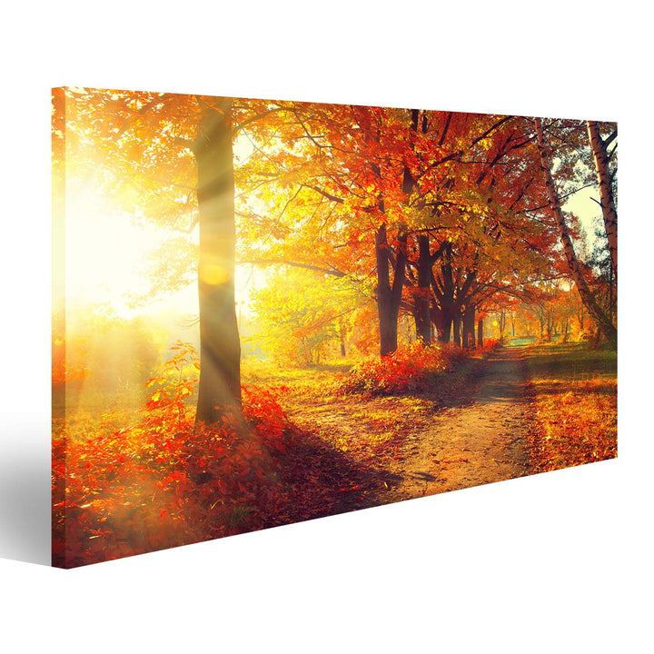 Bild Bilder auf Leinwand Herbst Herbst Park herbstliche Bäume und Blätter in Sonnenstrahlen Wandbild