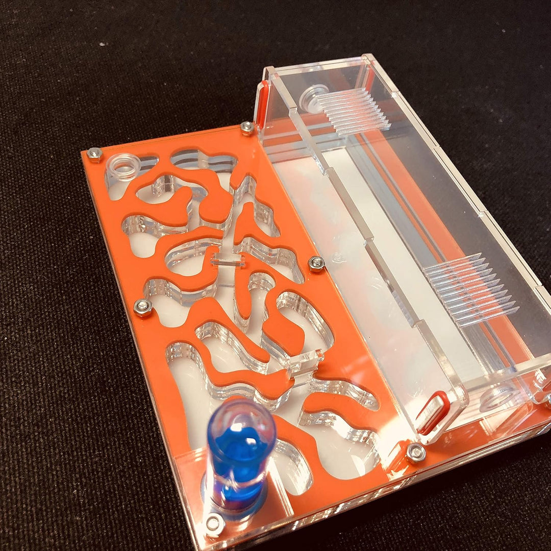 Ant Farm Educational Formicarium für LIVE Ameisen Reagenzglas Feuchtigkeit grosser Raum Acryl Ameise