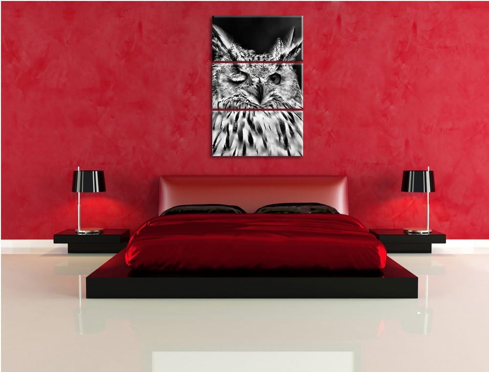 Pixxprint Monocrome, Waldohreule zwinkert 3-Teiler Leinwandbild 120x80 Bild auf Leinwand