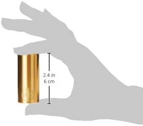 D'Addario PWBS-RR Rich Robinson Messing Slide