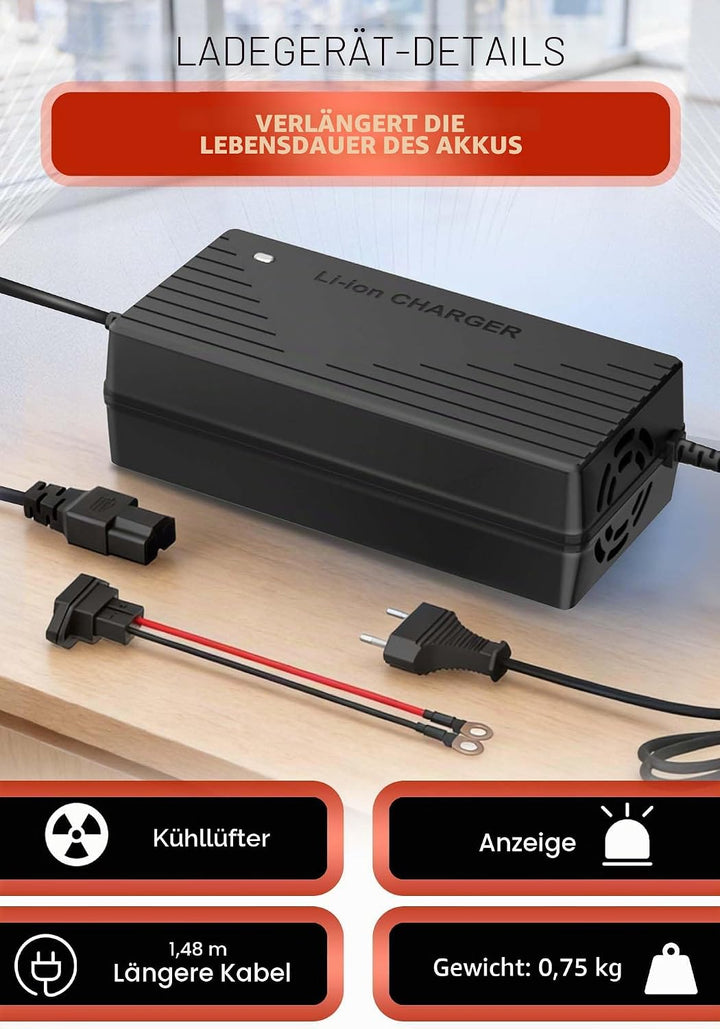 29,2V 10A Lithium Batterie Ladegerät für 24V(25,6) LiFePO4 Batterie, 24V AC-DC Lithium LiFePO4 Batte