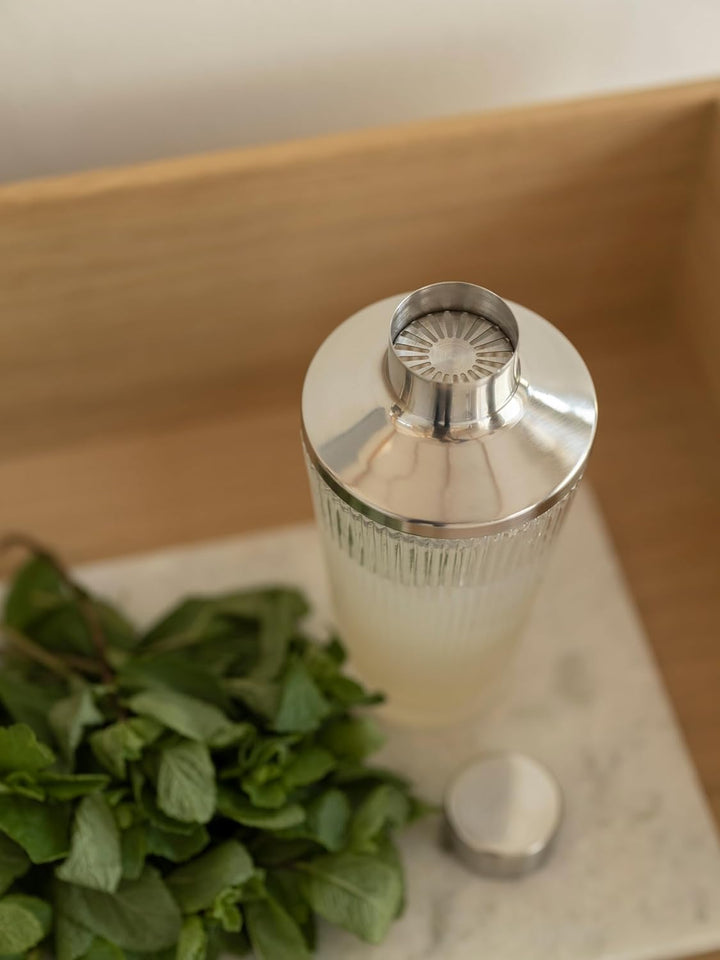 Stelton Pilastro Cocktail Shaker clear