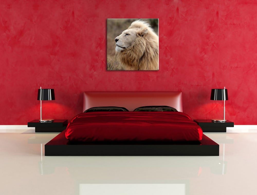 Weisser Löwe im Gebirge, Format: 70x70 auf Leinwand, XXL riesige Bilder fertig gerahmt mit Keilrahme