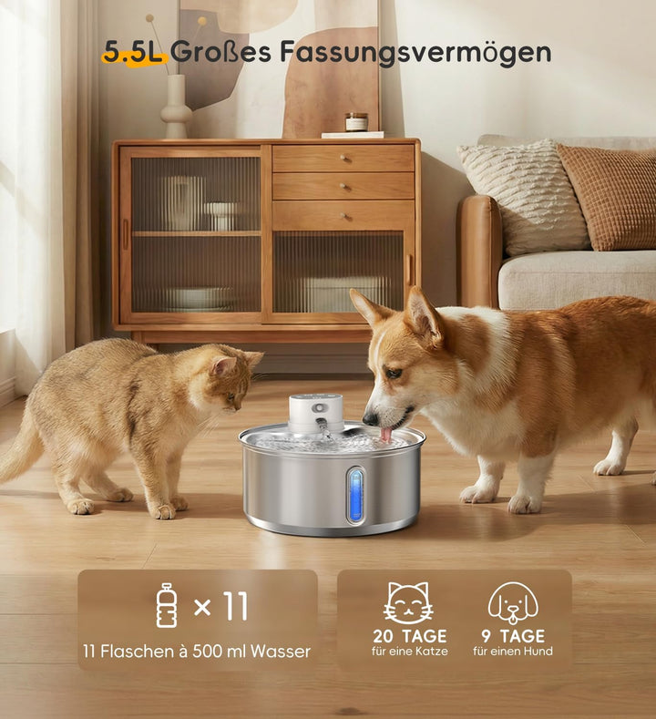 Katzenbrunnen Edelstahl Kabellos 5,5 L für Katzen (1 Filter) | 5000mAh Akku mit bewegungsmelder, lei