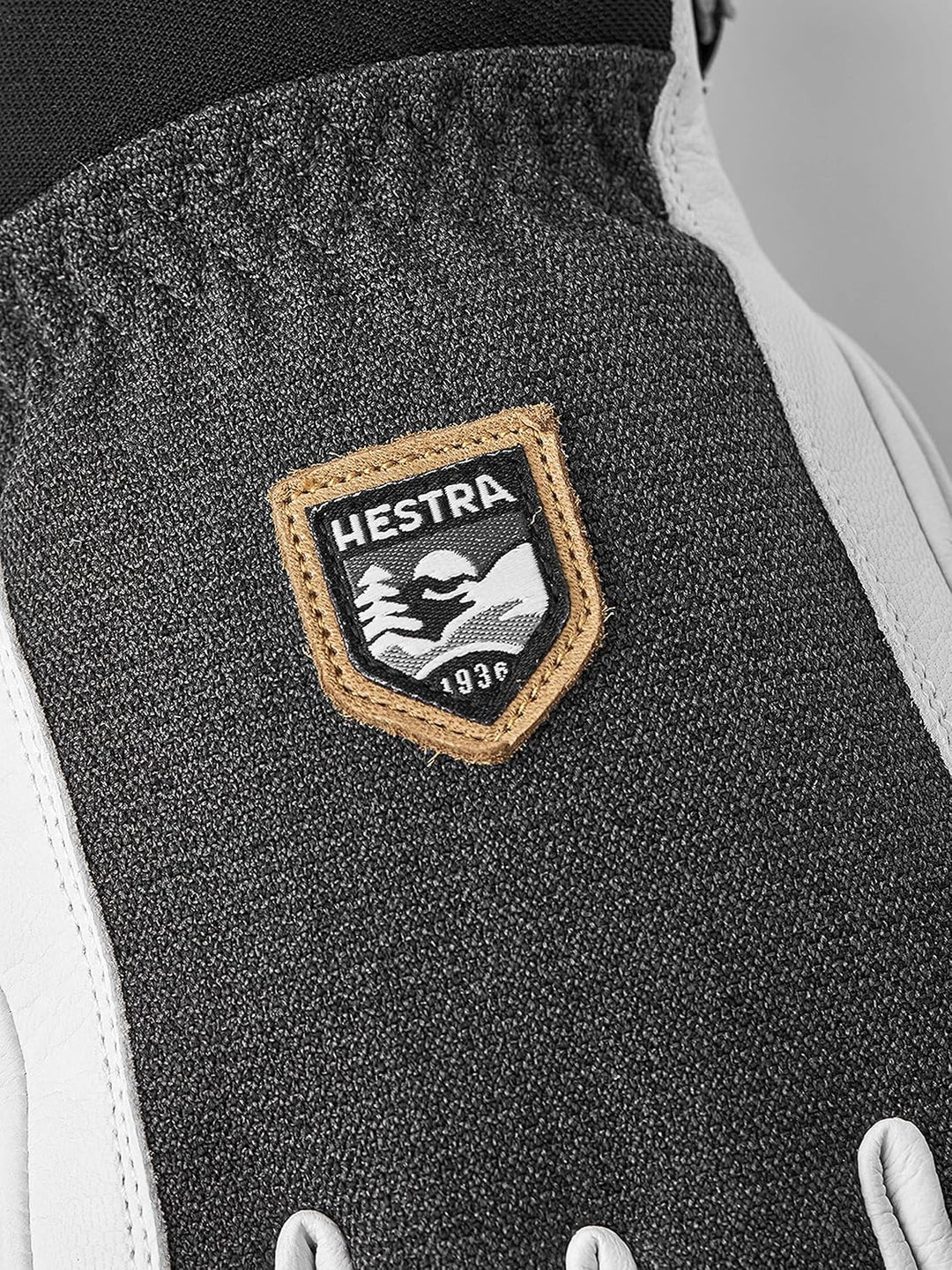 Hestra Ski Army Leather Patrol Winter Cold Weather Gloves Anthrazit 10, Anthrazit 10