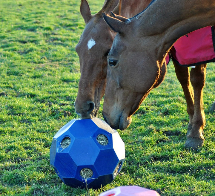 "Happy Hay Play" gr. Löcher, 70 mm orange, orange