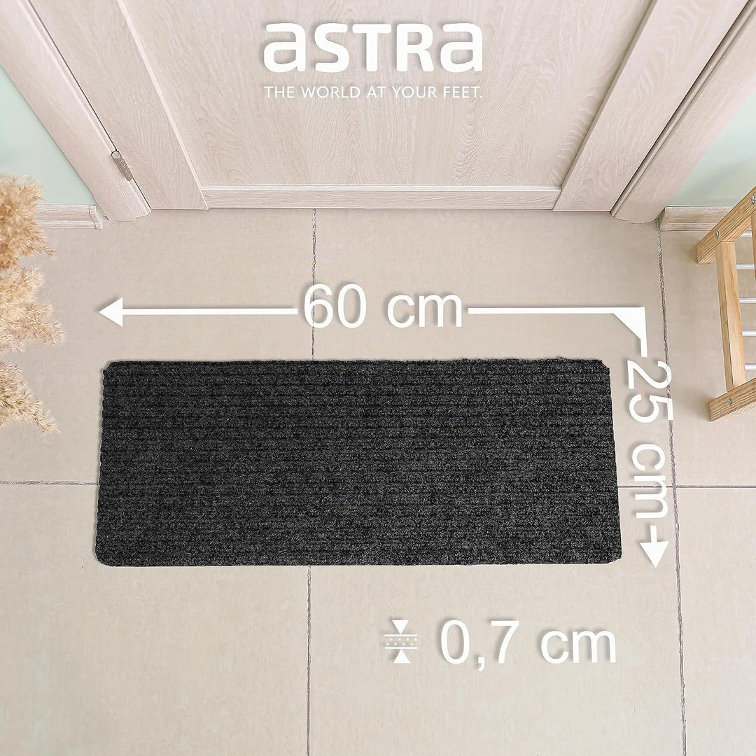 Astra Fussmatte innen anthrazit Schmutzfangmatte rutschfest – Türmatte 25x60 cm 3er Set wasserabweis