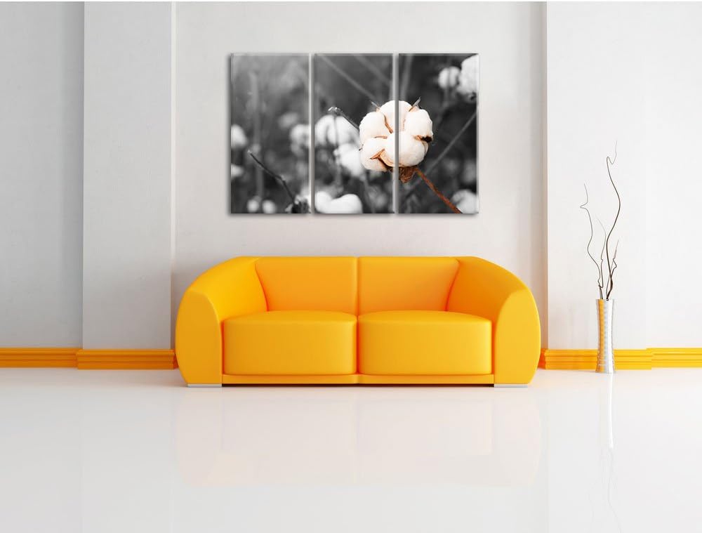 Pixxprint eine ausgereifte Knospe voller Baumwolle B&W Detail 3-Teiler Leinwandbild 120x80 Bild auf