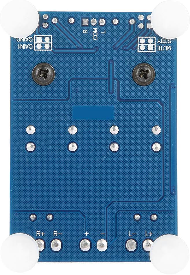 100 W + 100 W Stereo-Leistungsverstärkerplatine, und Effizienz, Zweikanal, DC 8–32 V, Breite Spannun