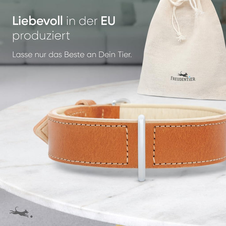 FREUDENTIER® Hundehalsband aus Leder, Made in Holland, gefüttert & super komfortabel, hochwertiges b