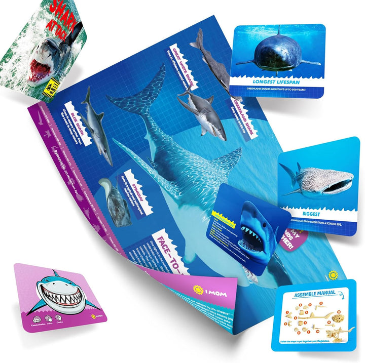 EGGBOX Megalodon Skelett Ausgrabungsset für Kinder – 2-in-1 Dig & Build Kit mit Graffiti-Mammut, Exp
