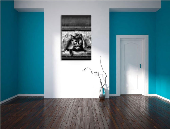 Pixxprint Monocrome, Katze schaut durch Hundeklappe, Format: 100x70 auf Leinwand, 100x70