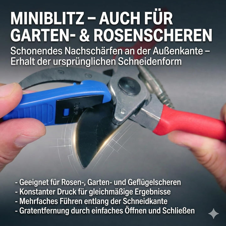 GIGANT Fugenkratzer Handgriff inkl. Teleskopstiel und BLITZSCHÄRFER Miniblitz Messerschärfer Messers
