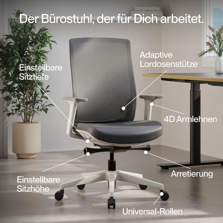Ergo Bürostuhl Ergonomisch ohne Armlehnen Schwarz | Schreibtischstuhl mit Synchronmechanik, Lordosen