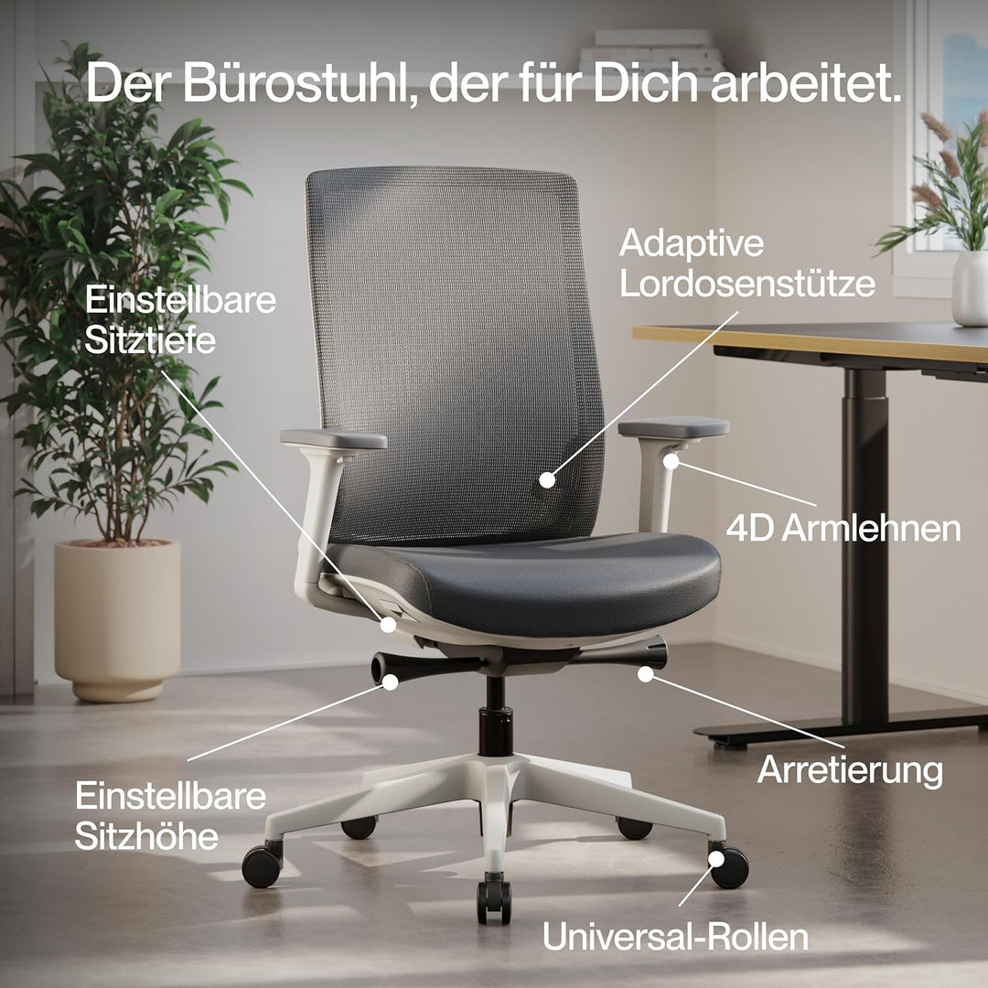 Ergo Bürostuhl Ergonomisch mit Armlehnen Schwarz | | Schreibtischstuhl mit Synchronmechanik, Lordose