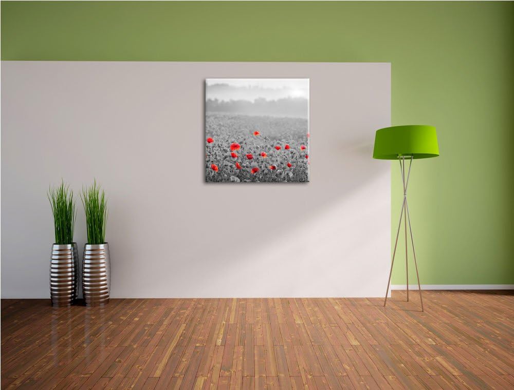 Pixxprint atemberaubend schöne Mohnwiese schwarz/weiss, Format: 70x70 auf Leinwand, 70x70