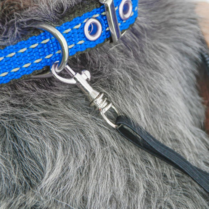 Hundetasche, Atmungsaktive Hundetragetasche mit Abnehmbarem Kissen, Haustier Tragetasche für Einkauf