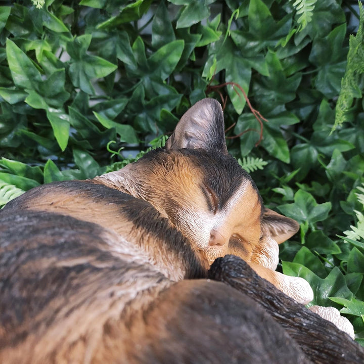 Vivid Arts Real Life Schlafende Katze Tortoiseshell XRL-ZC32-B