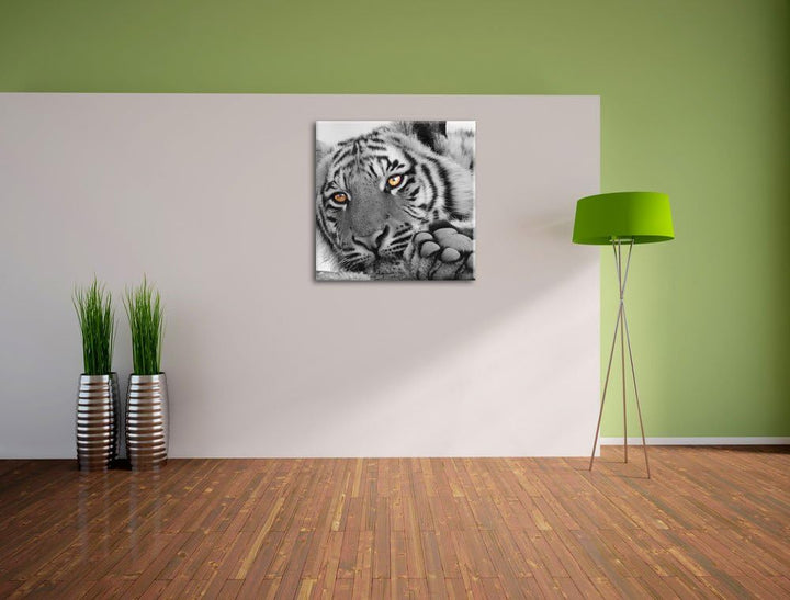 Pixxprint entspannter Tiger schwarz/weiss, Format: 70x70 auf Leinwand, 70x70
