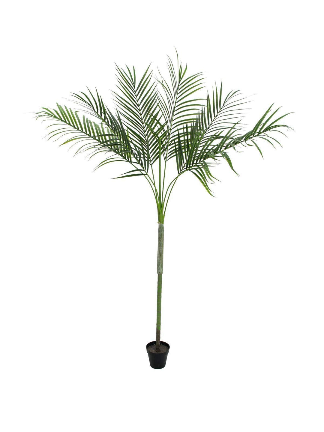 artplants.de Künstliche Areca Palme Deluxe, getopft, 180cm, wetterfest - Areca Palme künstlich - Dek