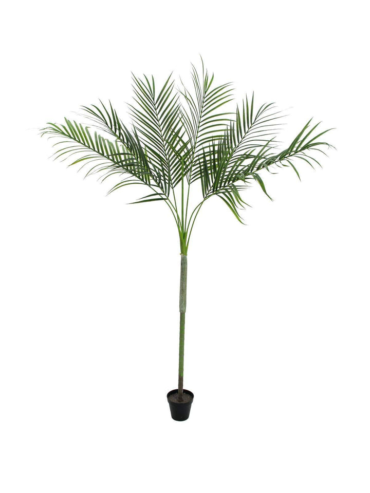 artplants.de Künstliche Areca Palme Deluxe, getopft, 180cm, wetterfest - Areca Palme künstlich - Dek