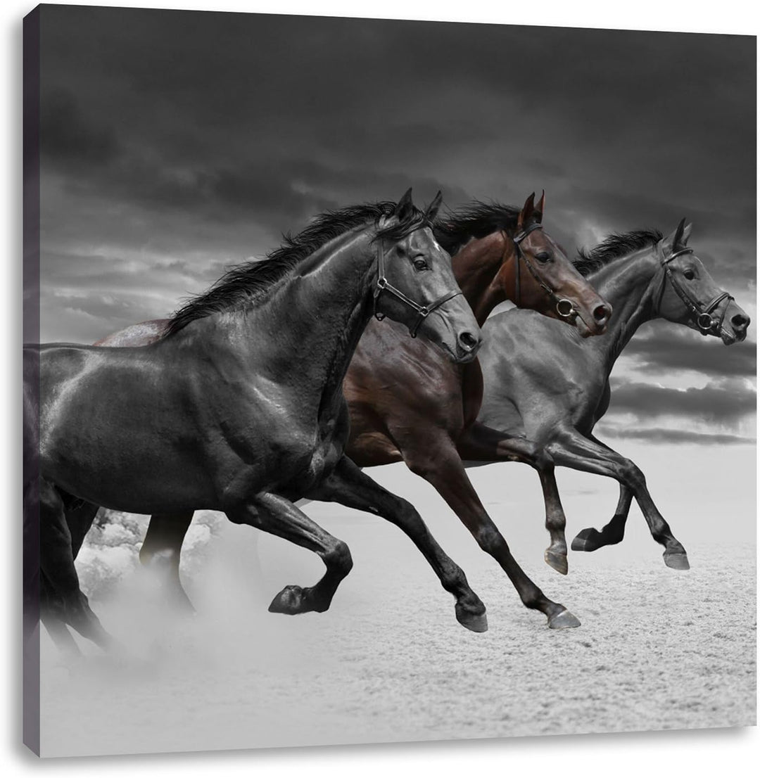 Pixxprint Westernpferde im Sand als Leinwandbild Quadratisch/Grösse: 70x70 / Wandbild/Kunstdruck/fer