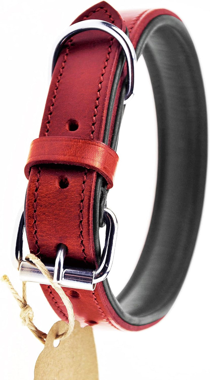 Schnüffelfreunde Halsband für Hunde aus Leder, Hundehalsband für den grossen, mittleren und kleinen