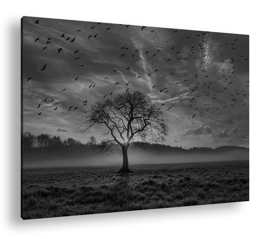 deyoli einsamer Baum Format: 80x60 Effekt: Schwarz&Weiss als Leinwandbild, Motiv fertig gerahmt auf