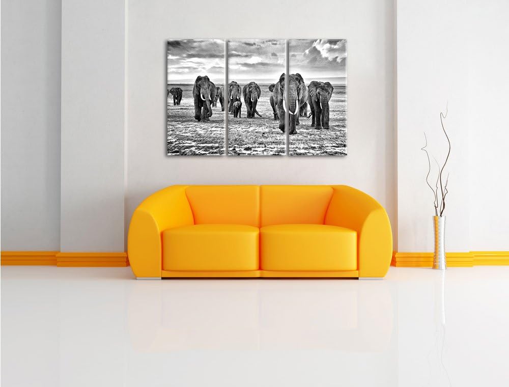 Pixxprint Elefanten Familie in der Savanne als Leinwandbild/Grösse: 3 Teilig (120x80) cm/Wandbild/Ku
