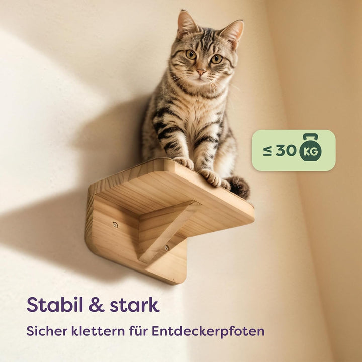 Katzen Kletterwand 3er Set – FSC® Kiefernholz für Spiel &amp; Abenteuer – Stabile Katzentreppe bis 30 kg