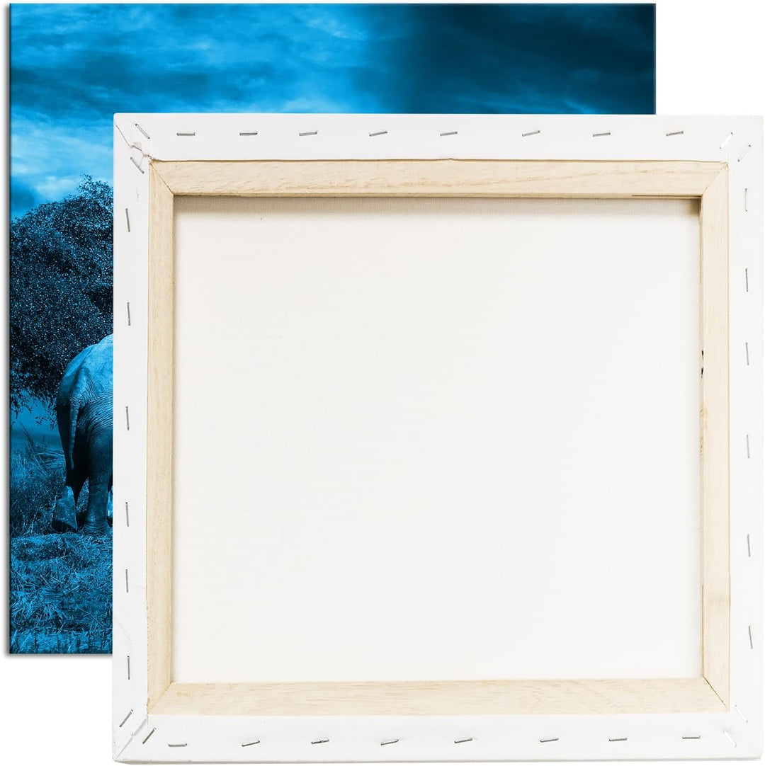 einsamer Elefant in der Steppe Format: 60x60 Effekt: Monocrome Blau als Leinwandbild, Motiv fertig g