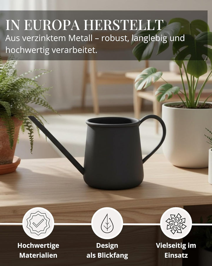 Livlig53 Giesskanne 1L, Giesskanne Zimmerpflanzen, Blumengiesskanne mit extra langem Ausguss, Giessk