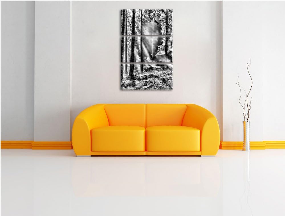 Pixxprint Sonnenstrahlen im Wald als Leinwandbild/Grösse: 3 Teilig (120x80) cm/Wandbild/Kunstdruck/f
