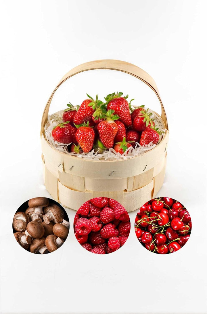 4er Set - Spankorb mit Henkel - rund, Erntekorb, Obstkorb, Geschenkkorb, Dekokorb, gross, 22cm Durch