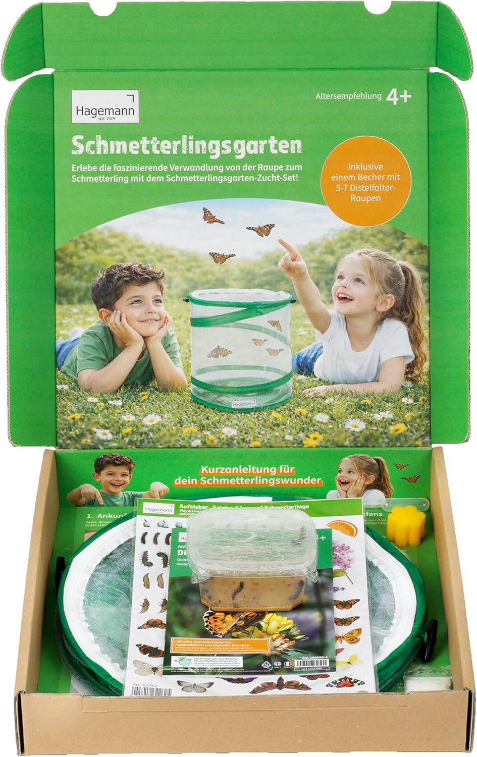 Hagemann Schmetterlingsgarten – Schmetterlinge züchten Set mit 5–7 Distelfalter Raupen | Natur Exper