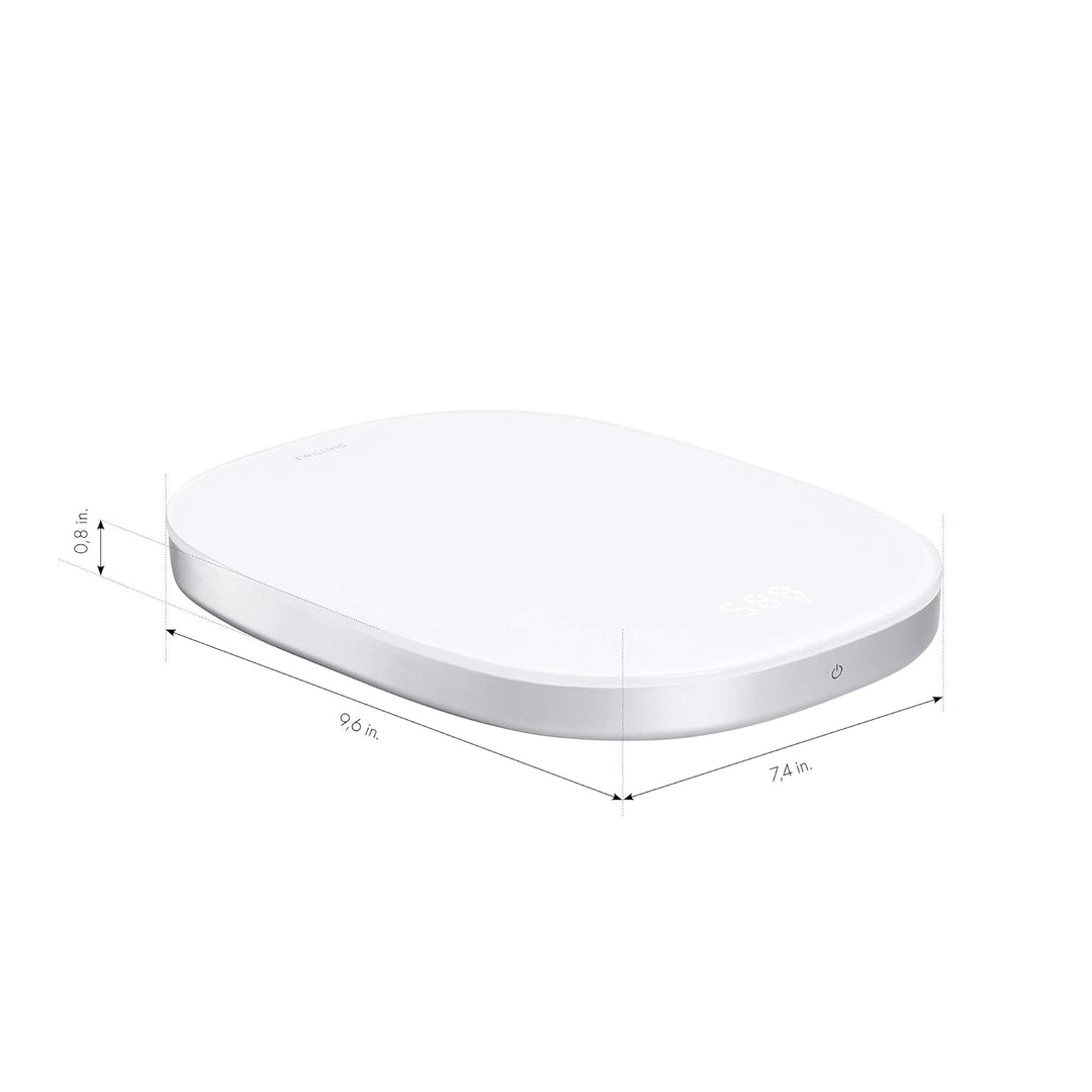 ZWILLING Enfinigy Digital Kitchen Scale - Silver, Silver