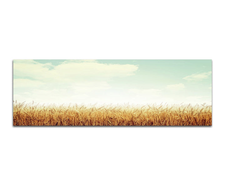 Paul Sinus Art Bilder Wand Bild - Kunstdruck 150x50cm Kornfeld Herbst Wolken Vintage