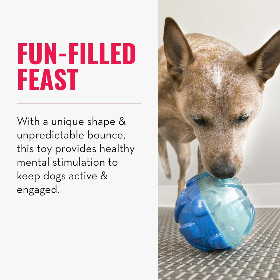 KONG – Rewards Ball – Besonders Robuster Interaktiver Leckerlispender – Für Grosse Hunde