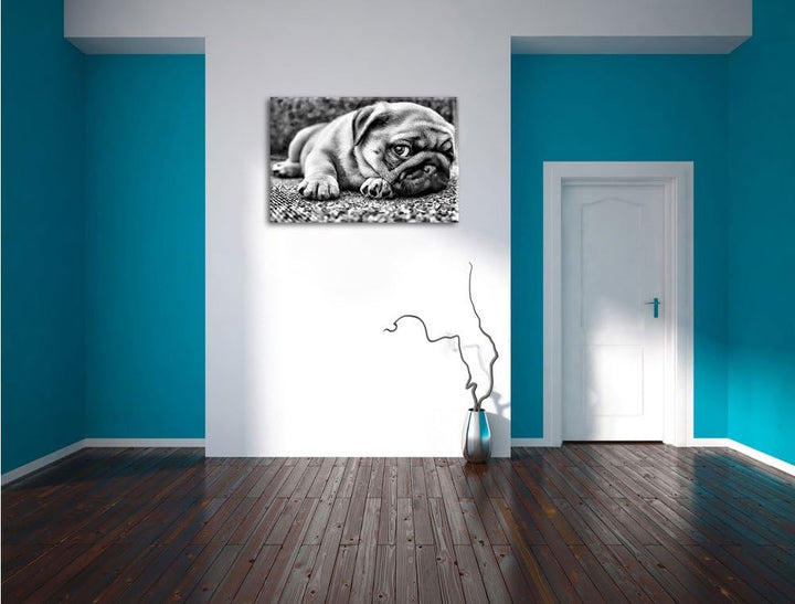 Pixxprint Süsser Mops auf Teppich als Leinwandbild/Grösse: 100x70 / Wandbild/Kunstdruck/fertig bespa