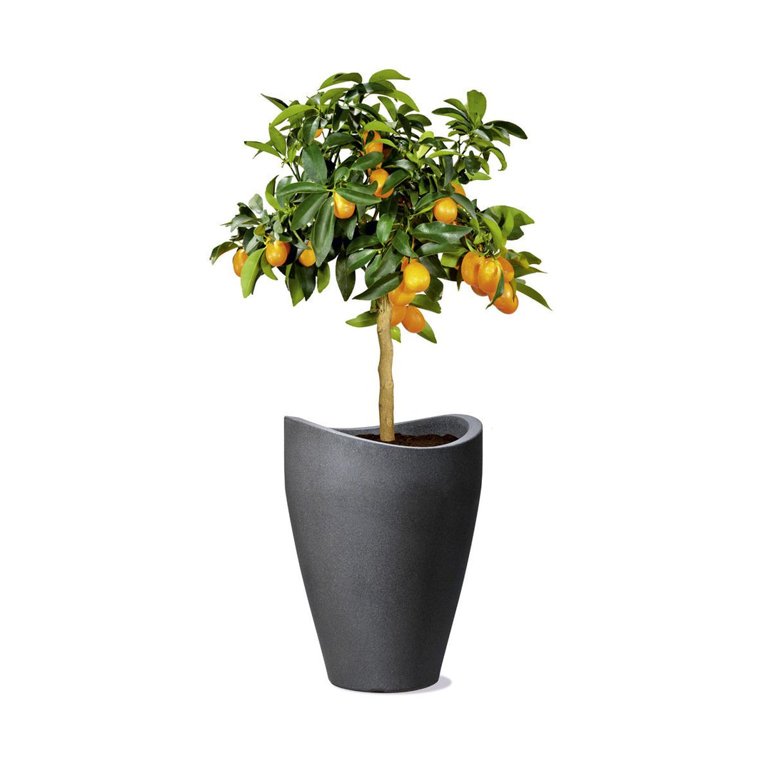 Scheurich Wave Globe High, Hochgefäss aus Kunststoff, Schwarz-Granit, 29,8 cm Durchmesser, 40 cm hoc