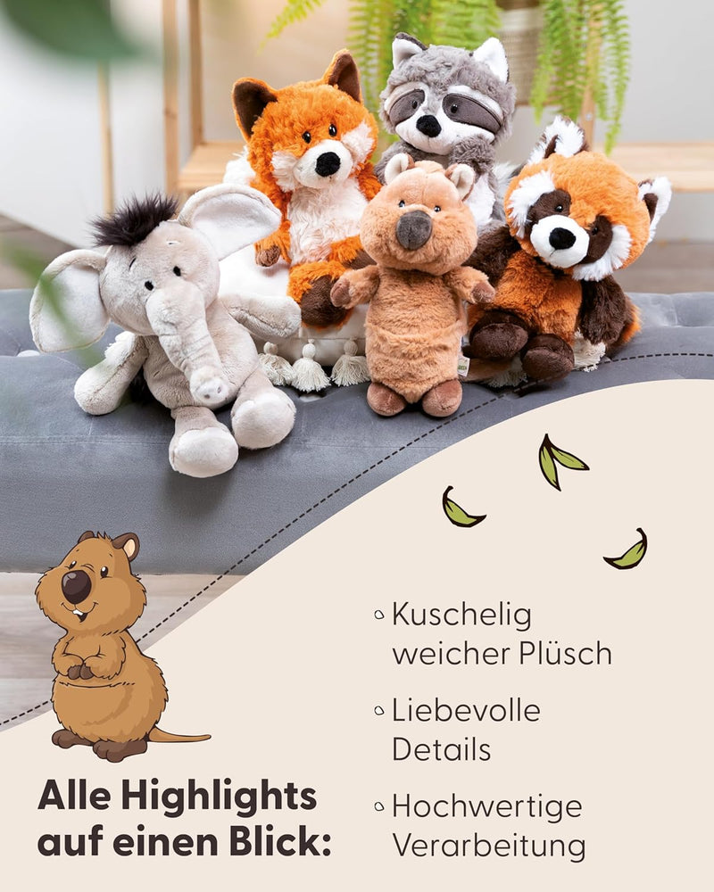 NICI Kuscheltier Quokka Quokka-Mola 22cm braun - Stofftier aus weichem Plüsch, niedliches Plüschtier