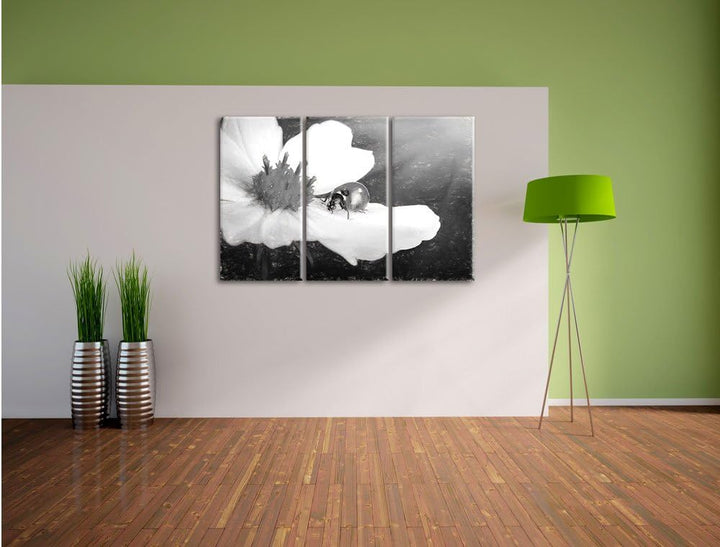 Pixxprint Marienkäfer auf Einer Blume / 3-Teilig/Gesamtmass 120cm Leinwandbild bespannt auf Holzrahm