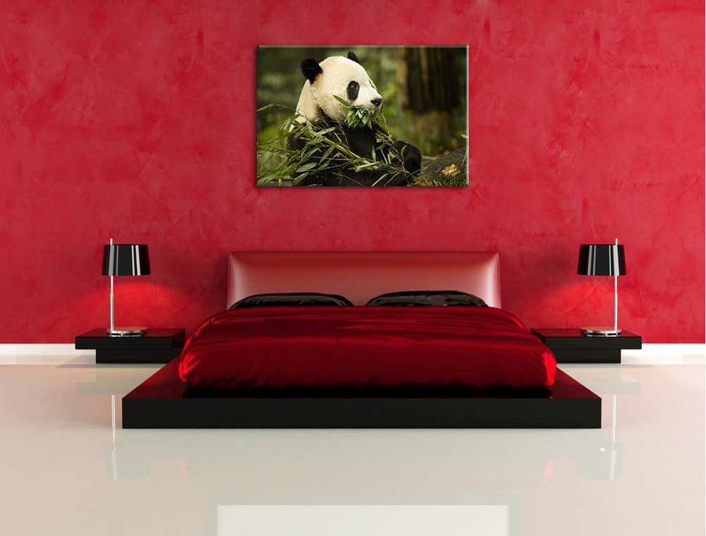 Pandabär beim Fressen Leinwand, XXL riesige Bilder fertig gerahmt mit Keilrahmen, Kunstdruck auf Wan